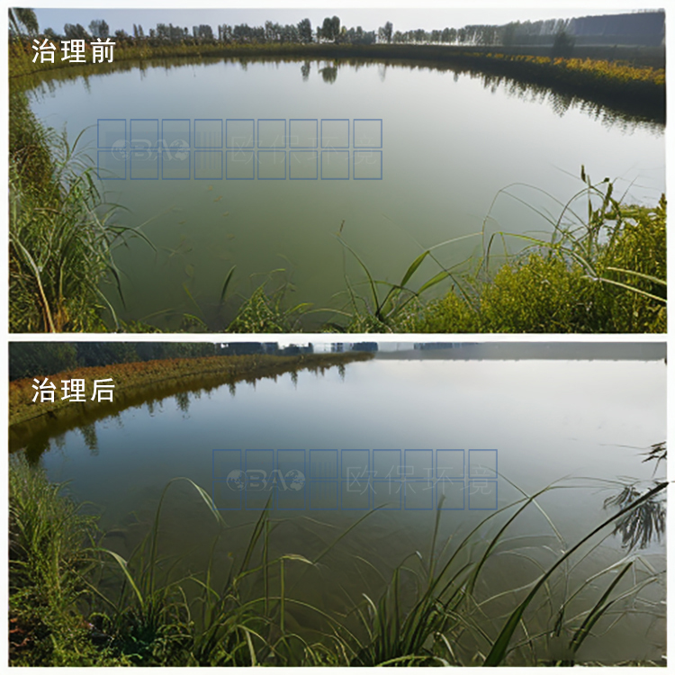 鎖磷劑：解決水體富營養化的有效武器