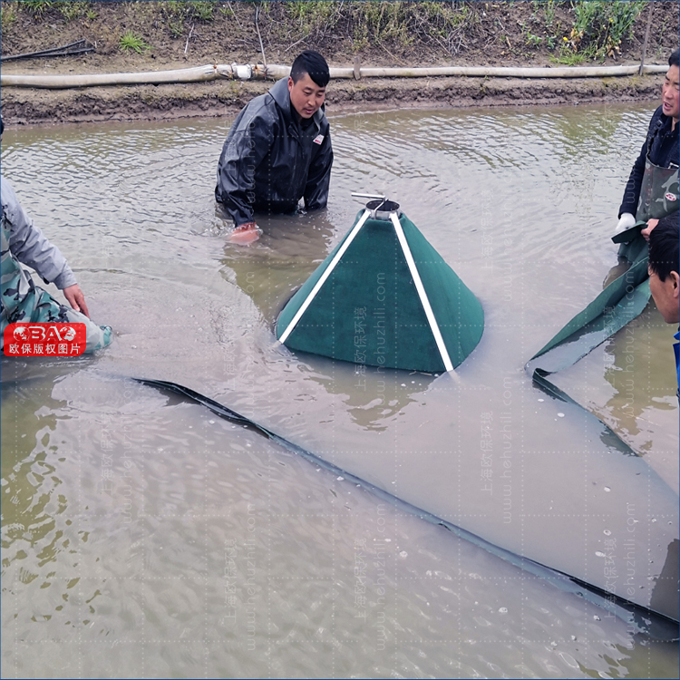 #養殖尾水治理#可再生三池兩壩工藝