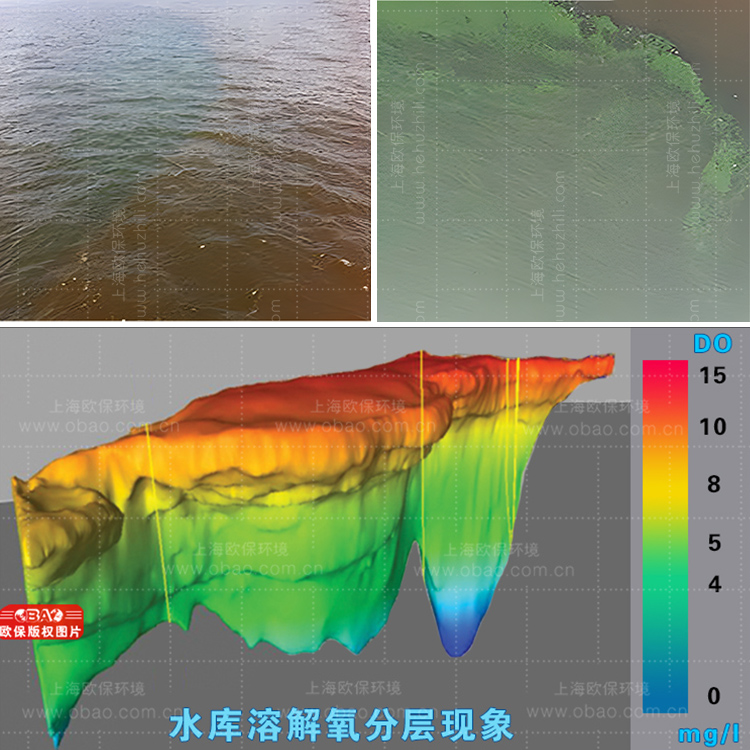 颶風(fēng)型揚(yáng)水曝氣器