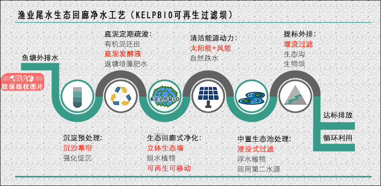 養殖尾水治理新思路——合作建設三池兩壩設施