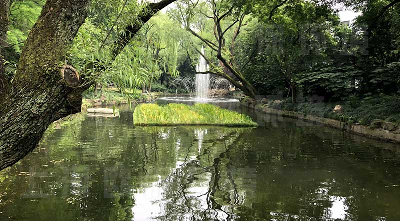 浮田型漂浮濕地（浮動濕地）應(yīng)用于河道——全覆蓋減少人工痕跡，更生態(tài)自然