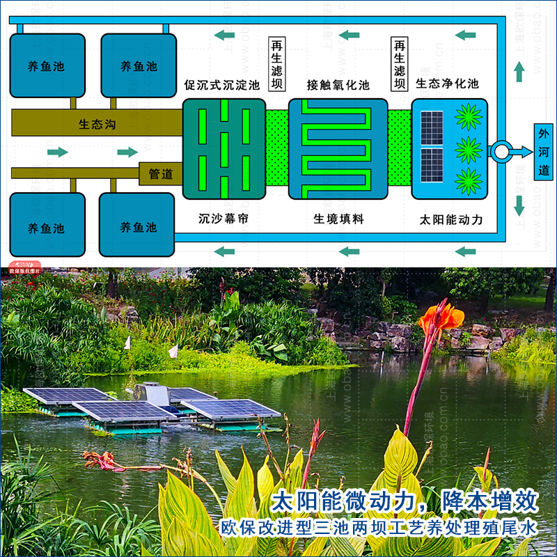 歐保增強改進型三池兩壩工藝以生態(tài)理論為指導，為養(yǎng)殖農(nóng)戶減輕了負擔，實現(xiàn)降本增產(chǎn)。
