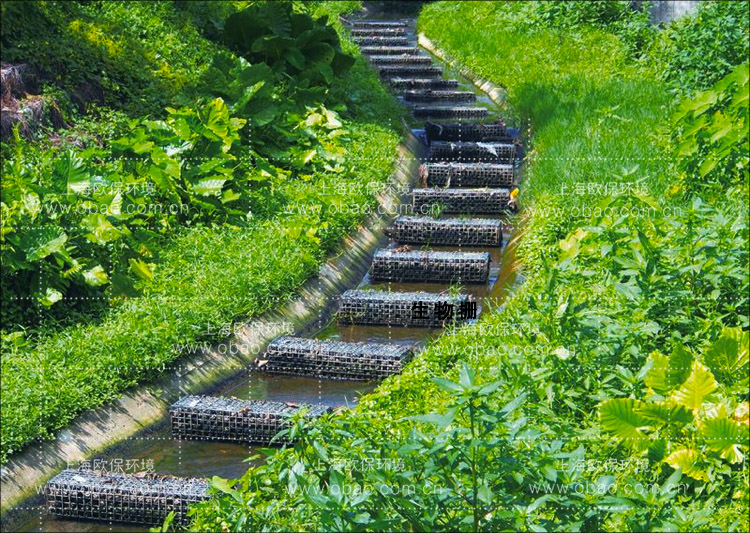 采用九道壩工藝處理農(nóng)村污水10方/天