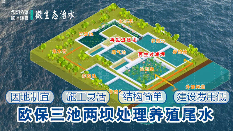 改進(jìn)型三池兩壩技術(shù)：養(yǎng)殖尾水治理新突破