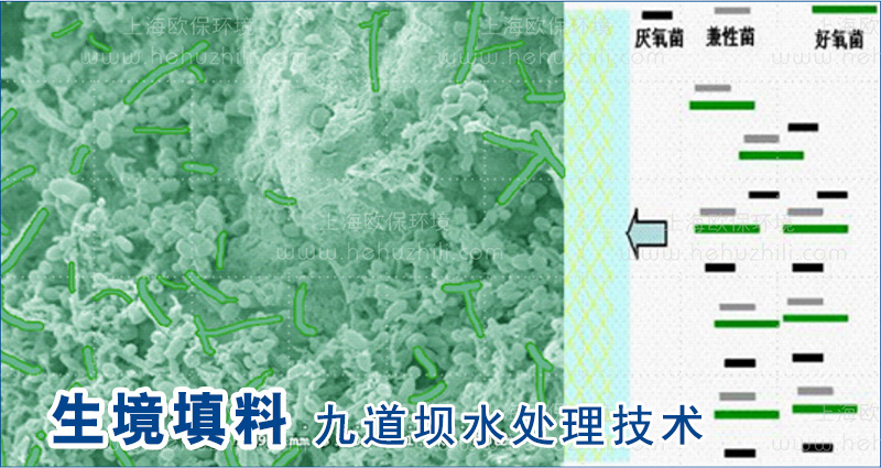 生境填料作為微生物載體，避免微生物大量流失，形成生物膜體系