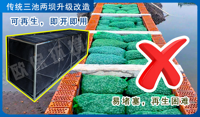 山區(qū)水產(chǎn)養(yǎng)殖的綠色轉(zhuǎn)型：三池兩壩工藝的升級(jí)與成效