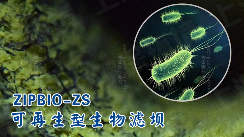 再生濾壩的核心在于將生物凈化功能與裝配式結(jié)構(gòu)有機結(jié)合。
