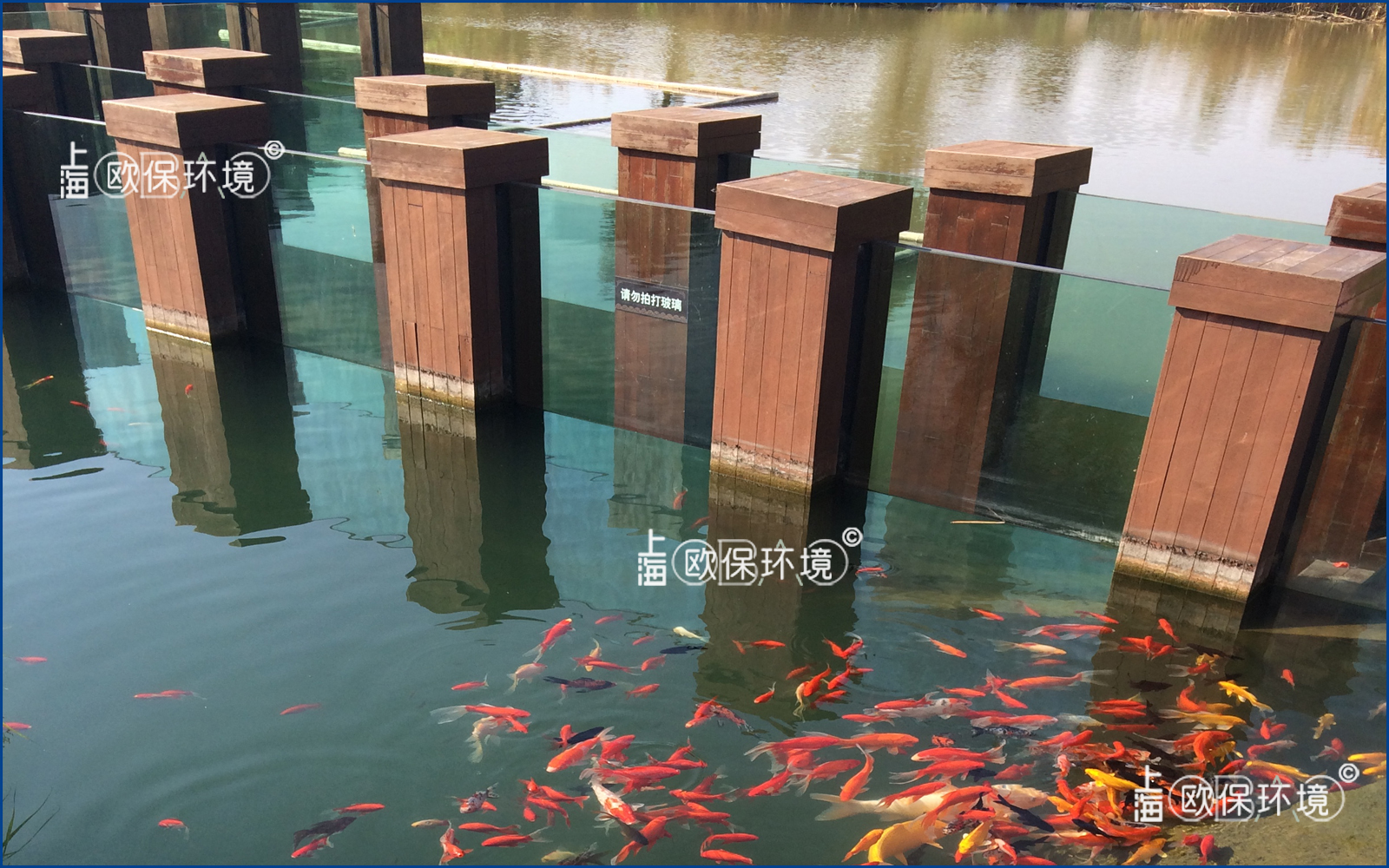 清水養(yǎng)魚，水至清魚至美