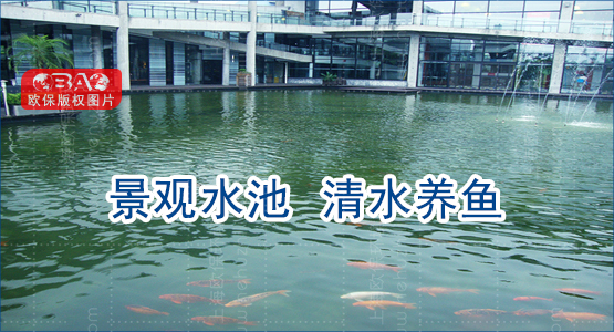 景觀水水處理改造工程：技術升級，提升水質，保障健康