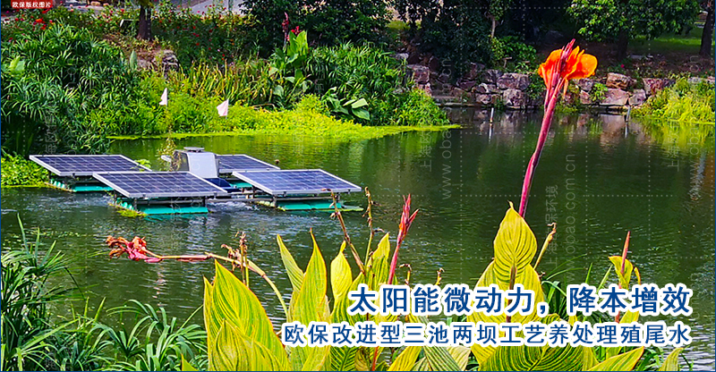 歐保三池兩壩工藝為養(yǎng)殖戶減負(fù)，降本增產(chǎn)