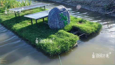 歐保KELPBIO生物操控抑除藍(lán)藻技術(shù)